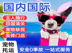 芒市航空运输国际宠物托运 【国